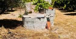 Propriedade exclusiva em uma das regiões mais cobiçadas do Alentejo, Grândola!