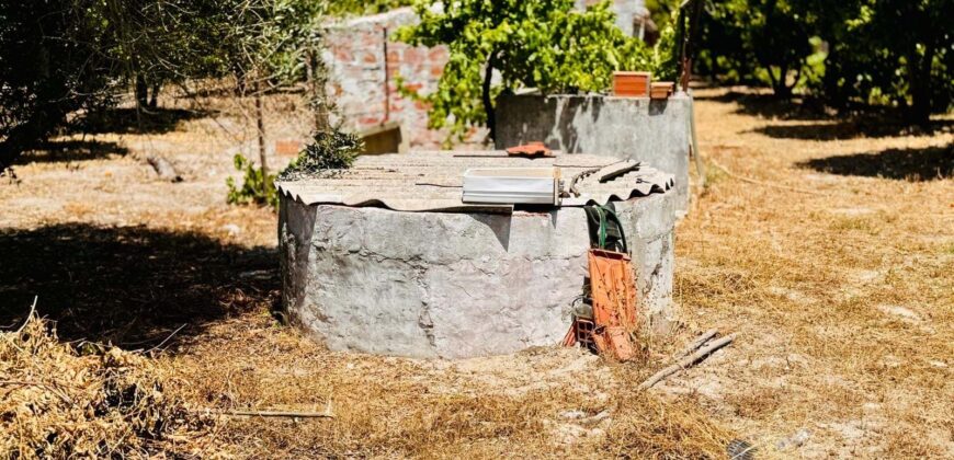 Propriedade exclusiva em uma das regiões mais cobiçadas do Alentejo, Grândola!