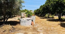 Propriedade exclusiva em uma das regiões mais cobiçadas do Alentejo, Grândola!