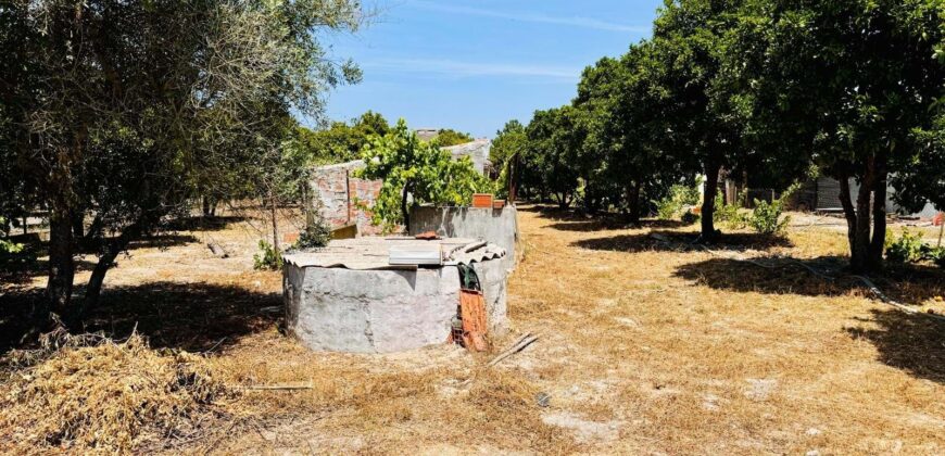 Propriedade exclusiva em uma das regiões mais cobiçadas do Alentejo, Grândola!