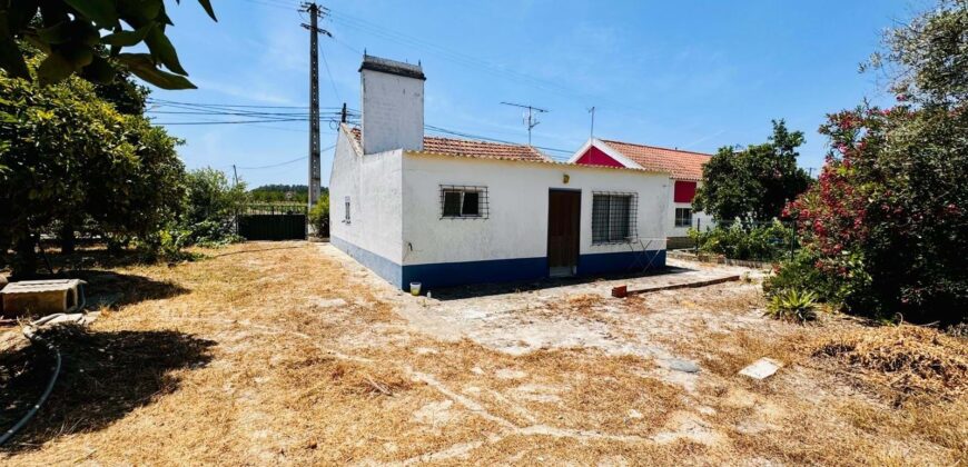 Propriedade exclusiva em uma das regiões mais cobiçadas do Alentejo, Grândola!