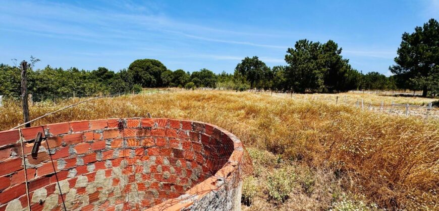 Propriedade exclusiva em uma das regiões mais cobiçadas do Alentejo, Grândola!