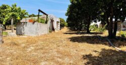 Propriedade exclusiva em uma das regiões mais cobiçadas do Alentejo, Grândola!