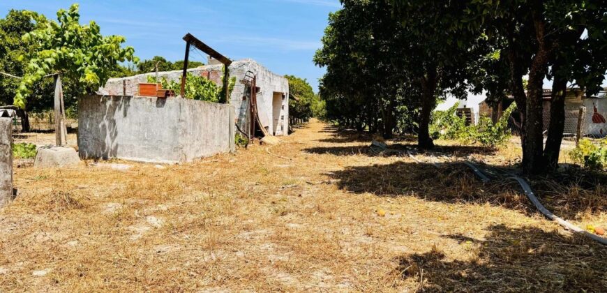 Propriedade exclusiva em uma das regiões mais cobiçadas do Alentejo, Grândola!