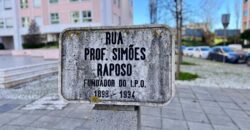 Escritório Exclusivo em Zona Nobre  de Lisboa. Oportunidade no Lumiar, Parque dos Príncipes