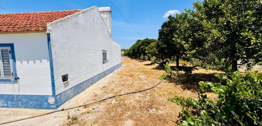 Propriedade exclusiva em uma das regiões mais cobiçadas do Alentejo, Grândola!