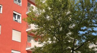 Apartamento T2 de Excelência na Quinta das Conchas | Lumiar, Lisboa