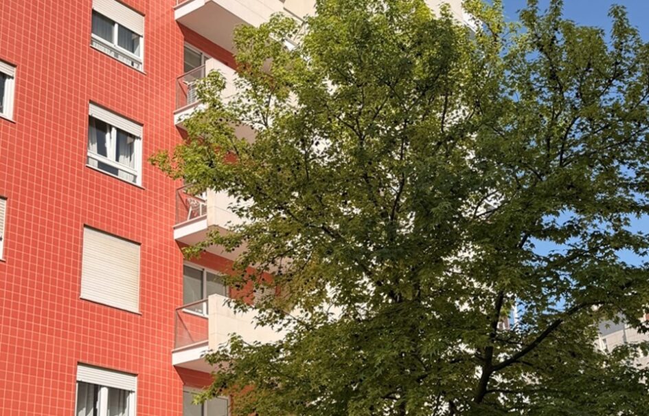 Apartamento T2 de Excelência na Quinta das Conchas | Lumiar, Lisboa